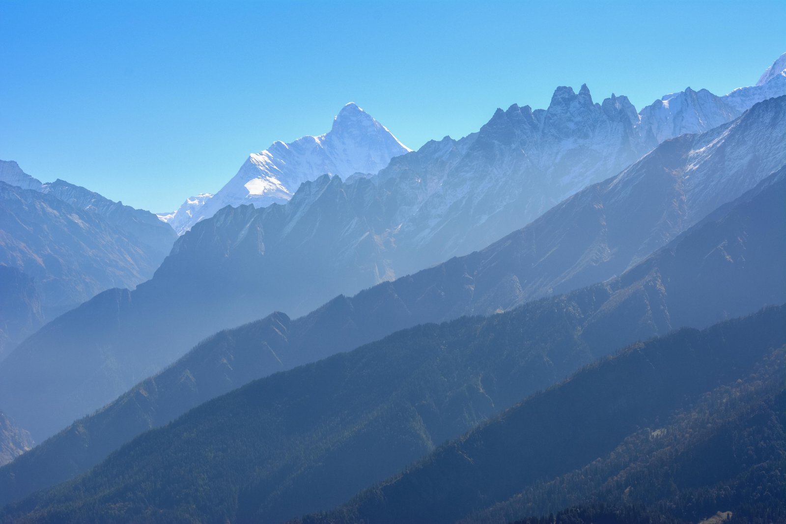 Nanda Devi Darshan Tour